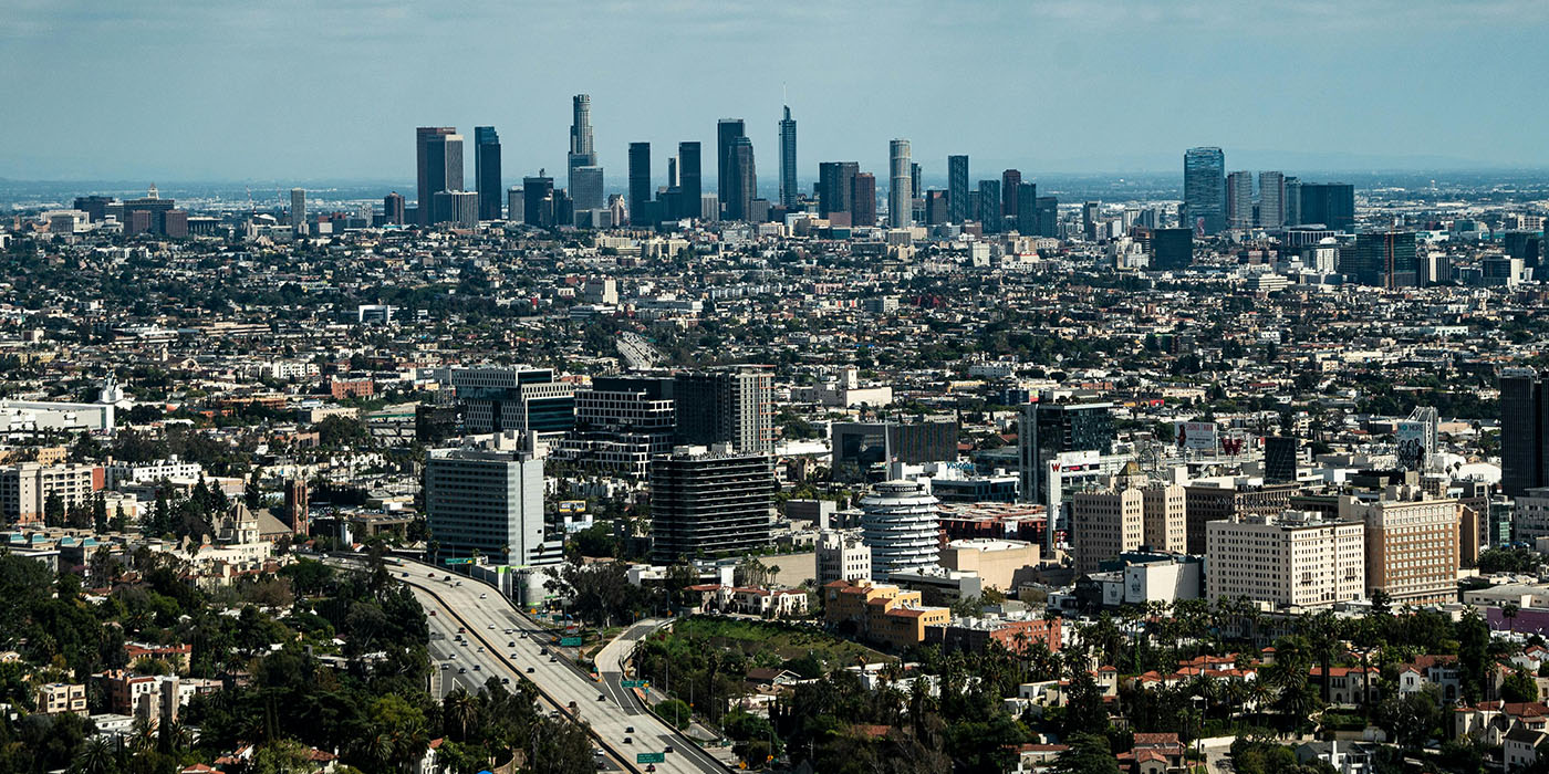 domestic agency in los angeles